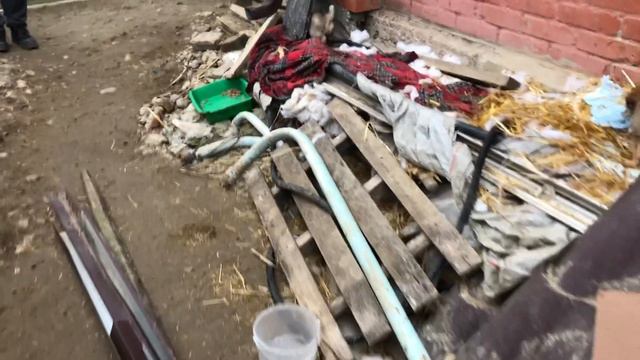 БРОСИЛИ ГОЛОДАТЬ ЩЕНКОВ.Строим будку из подручных средств. Спасение Животных
