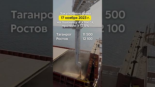 Закупочные цены 17.11.2023г. на пшеницу 4 класса (протеин ≥ 12,5%) в портах Азовского и Чёрного мор смотреть онлайн