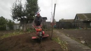 Культиватор в работе ( перебиваю огород).