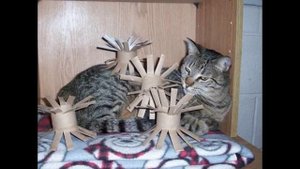 Игрушки для котят своими руками