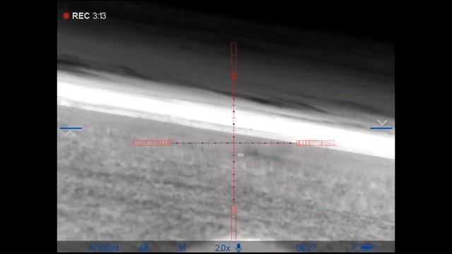 Thermal Hog Hunting with PULSAR TRAIL 2 LFR XP50 смотреть онлайн