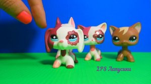 LPS необычная коллекция/ Littlest Pet Shop