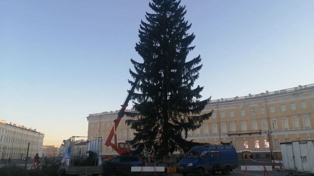 Как выглядит новогодняя елка в Петербурге?