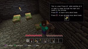 Minecraft (NSFW) WOULD YOU RATHER? (MINECRAFT SKYRIM)