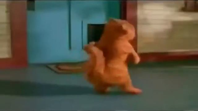 Кот Гарфилд поздравляет с Днём Рождения смотреть онлайн