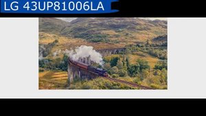 LG 43UP81006LA - краткий обзор
