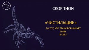 Скорпионы. разбор