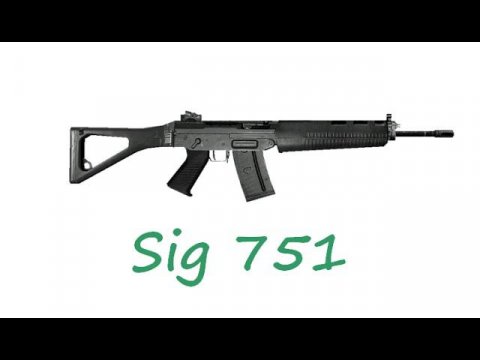 Stalker Online ( Тест Sig 751 )