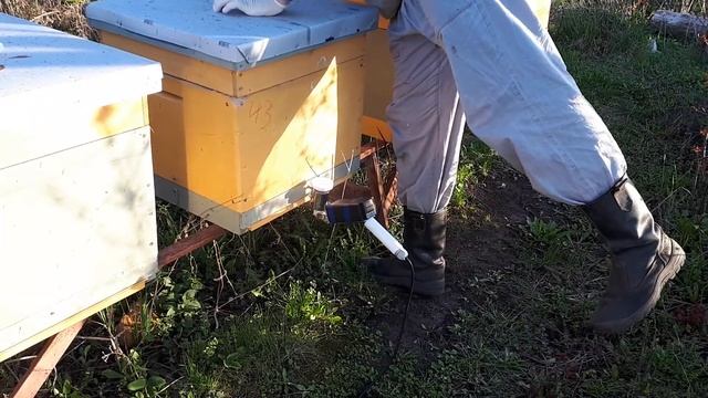 Обработка пчёл щавелевой кислотой сублиматором. Исполняется впервые! смотреть онлайн