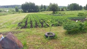 Сделал себе подарок для мотоблока
