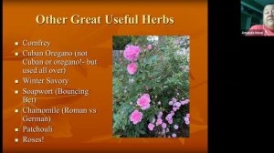 AHS May 2021 Meeting - Unusual Herbs from Around the World