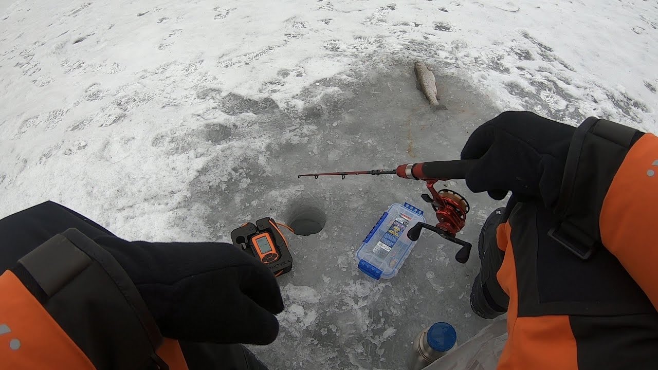 Ловля ФОРЕЛИ на ВИБЫ | весенняя рыбалка 2022 смотреть онлайн