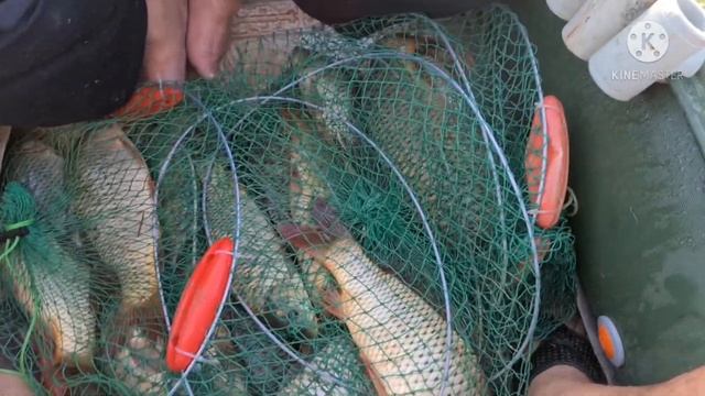 31 мая 2021 г. место-ния Белый камень. аргы беты смотреть онлайн