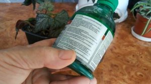 Для борьбы с мошкой и паутинным клещом используем зелёное мыло .//From midges and spider mites//