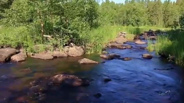 8 октября 2020 г. смотреть онлайн