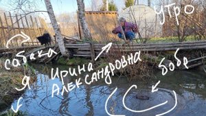 Это утро началось не с кофе, а с бобра в огороде. Кажется, он пришёл за мной, но ошибся домом