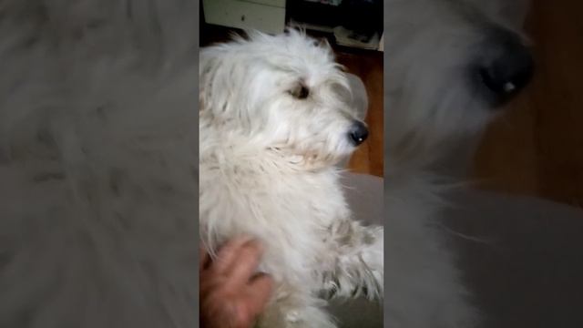 ВЕРНУВШИСЬ С ДАЧИ БАЮНОВО. смотреть онлайн