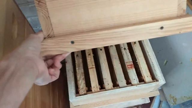 Улей МФУ 300х300х145 летние, они же медовые корпуса. смотреть онлайн