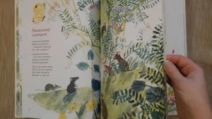 Детские стихотворения о цветах: "Наши цветы"