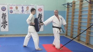 МАСТЕРСКАЯ КУМИТЭ КЁКУСИНКАЙ (15)