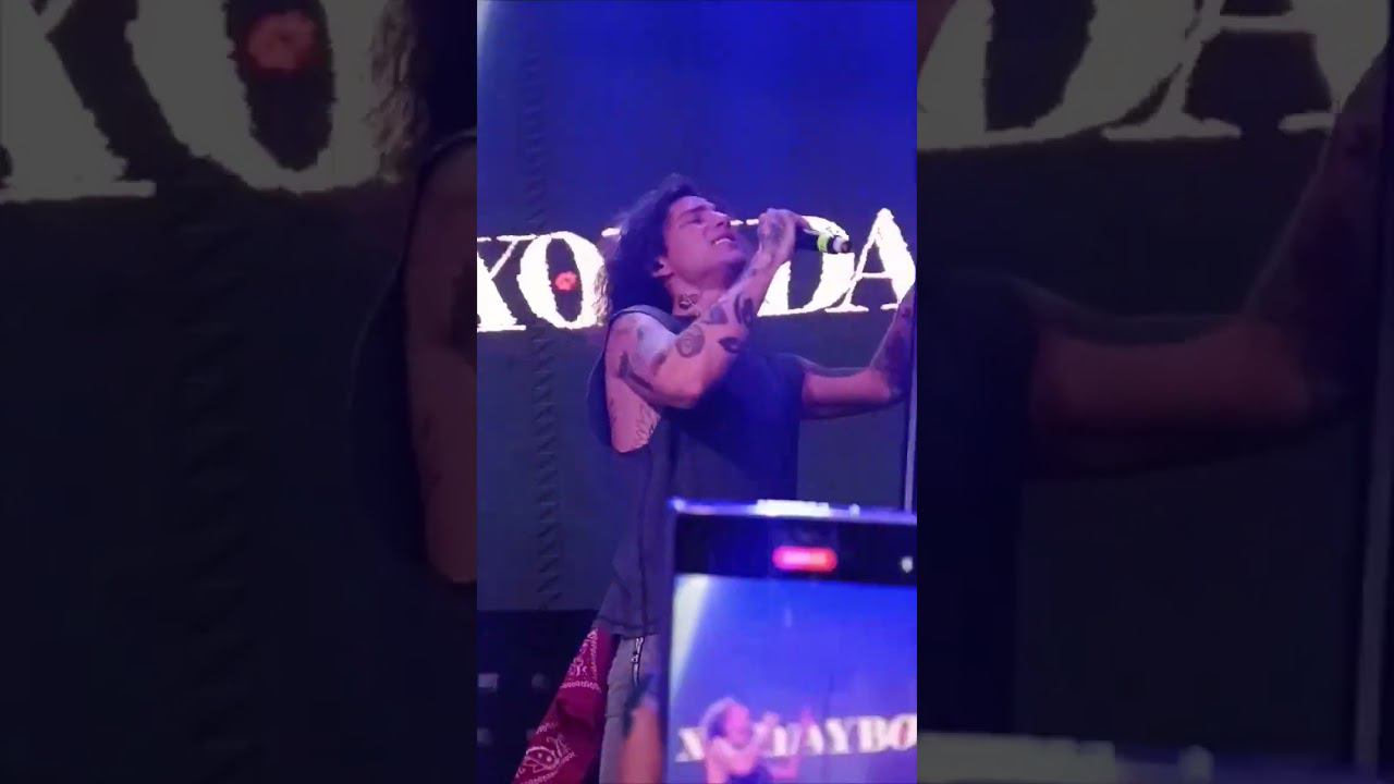 XOLIDAYBOY Омск Идиот 29.04.24 #xolidayboy#иванржевский#concert#иван#идиот смотреть онлайн