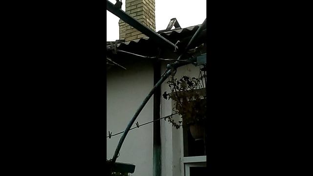 Очевидное Невероятное Выпуск 0