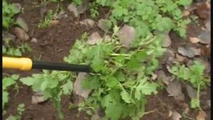 Чудо лопата: "Торнадо МИНИ"