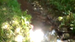 Святой источник Саввы Сторожевского