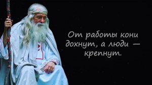 Короткие, но Невероятно Мудрые Русские Пословицы и Поговорки | Цитаты, афоризмы, мудрые мысли.