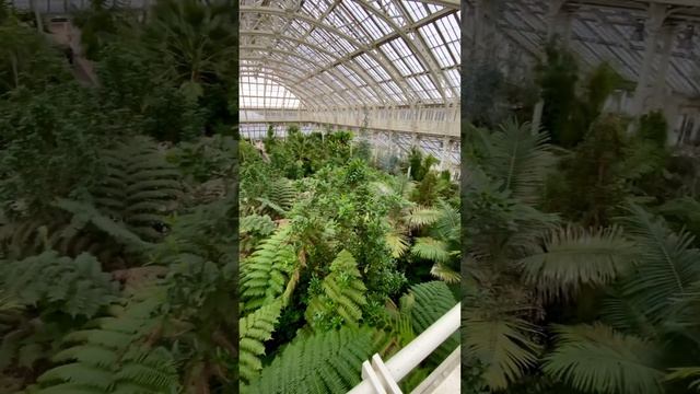 Temperate house kew #kew #kewgardens #gardening #garden #gardenscapes #london #gardentour