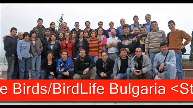 BSPB team смотреть онлайн