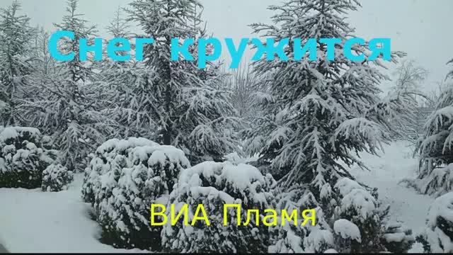 Из личного видеоальбома Снежная зима 2020.ВИА Пламя.Снег кружится. смотреть онлайн