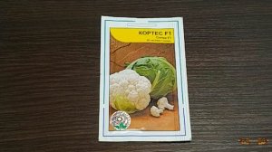 Сорта капусты ранней, поздней и цветной - что буду сеять в новом огородном сезоне