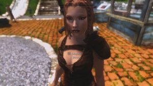 5 ЛУЧШИХ СПУТНИКОВ СКАЙРИМА ИЗ МОДОВ