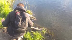 STRIKE PRO BUSTER JERK V