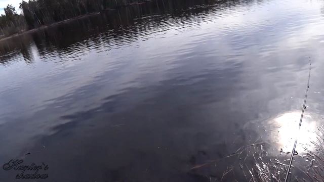 ХОРОШИЙ КЛЁВ,когда "не клюёт"...#169 смотреть онлайн