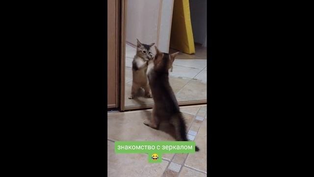 Видеопадборка №1
