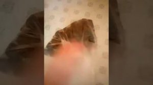 Бесконечный квас в домашних условиях из сухого кваса.