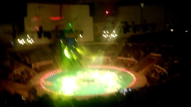 Самара, цирк на воде, 12.11.2016 смотреть онлайн