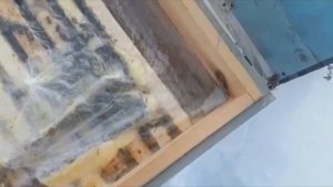 как кормить пчел зимой на улице? Настоящая зима !