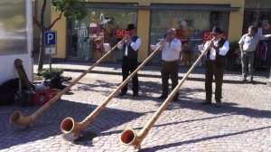 Альпийский горн