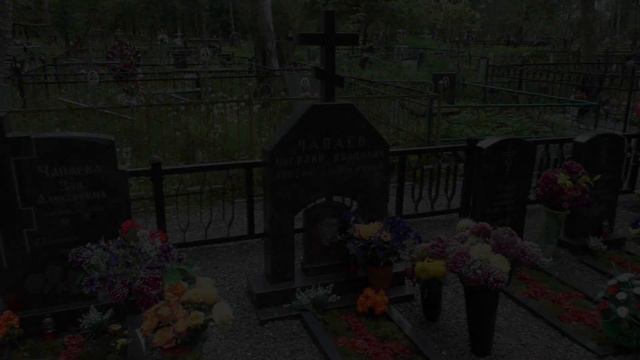 Чапаевская ОПГ. Разборка в кафе 