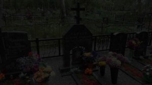 Чапаевская ОПГ. Разборка в кафе "Роксана"