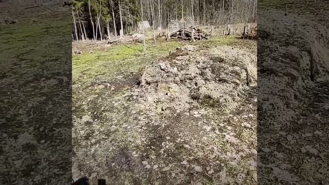 Предъявляю розам; общение с яблонями и выравнивание ровных - Дача холодной весной 2022