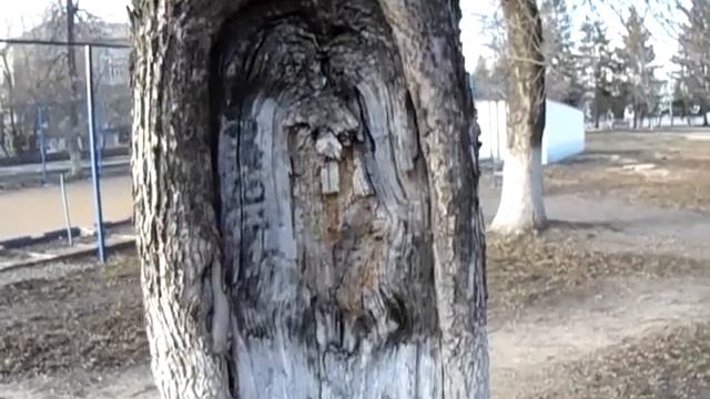 РЕАЛЬНАЯ...ВИРТУАЛЬНОСТЬ