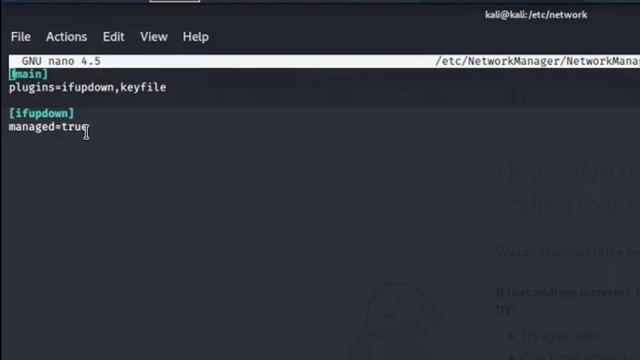 Kali Linux Internet Issue With Host-Only And NAT Adapters | SOLUTION смотреть онлайн
