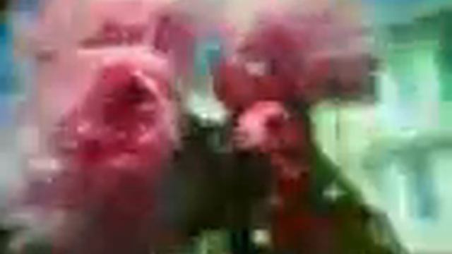 Hypermodern MOBILE video for May 12, 2006, 10:27 PM смотреть онлайн