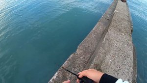 Обзор микроджиговых палок #33 Apia Grandage LITE 68/5