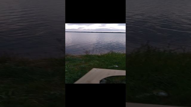 Сортир с Видом на ...... смотреть онлайн