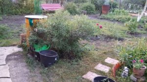 Купила старую дачу/Что изменилось /Обзор на 16 июня 2021